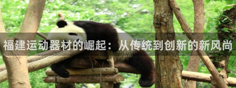 南宫大舞台官方集团官网:福建运动器材的崛起:从传统到创新的新