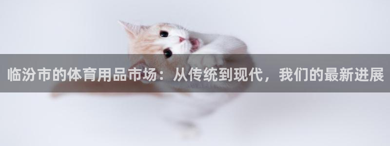 南宫大舞台官方正版app五金厂:临汾市的体育用品市场:从传统